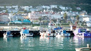 Un puerto deportivo con varias embarcaciones amarradas, edificios residenciales al fondo y un paisaje montañoso.