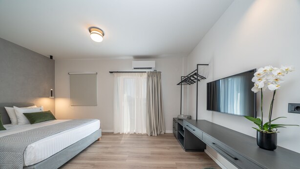Un dormitorio moderno con cama, televisor, planta y ventana con cortinas.