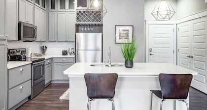 Luxury Apartment Near Emory Hospital University