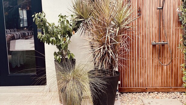 A modern house with a wooden fence, a large potted plant, and a small patio area. - Charming Olde Naples Bungalow  (Naples)
