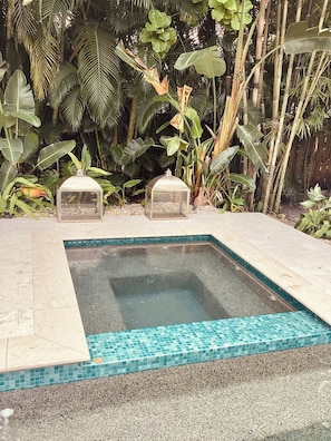 Property grounds - Charming Olde Naples Bungalow (Naples)