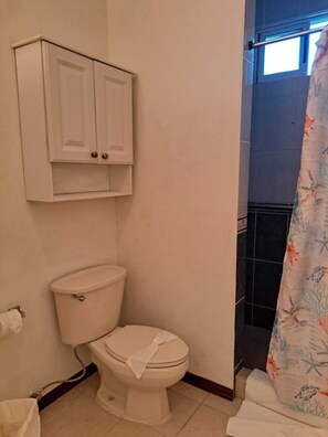Ducha, secador de pelo, toallas y jabón