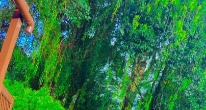 Suites Cantinho da Serra