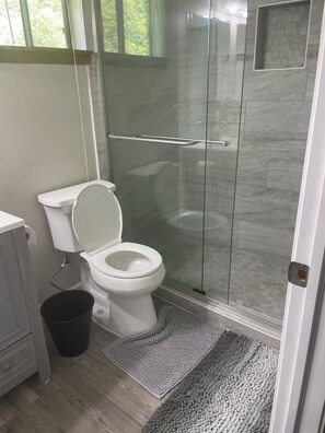 Hair dryer, towels, toilet paper - 3-bedroom house in fabulous Atlanta with WiFi, AC (Atlanta)