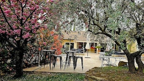 An outdoor seating area with tables and chairs, surrounded by trees and a building in the background.
