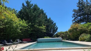 A rectangular swimming pool with a tiled deck, surrounded by dense greenery and trees.