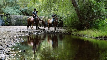 Two people riding horses on a dirt path beside a calm stream in a wooded area.
