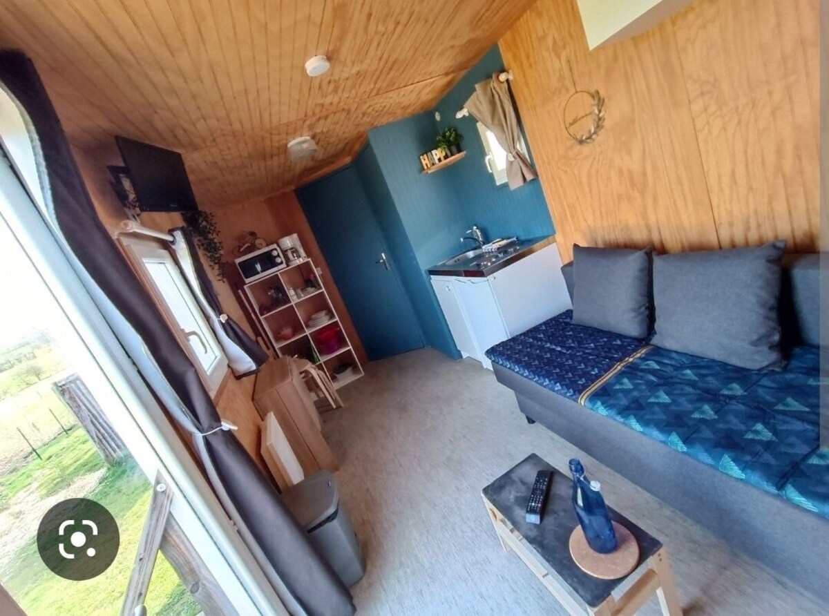 Värdens profilbild