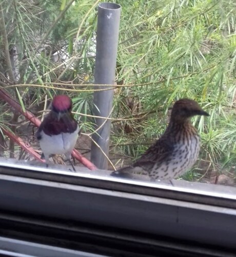 Charming 2-bedroom on estate in pleasant Gunjur with WiFi, AC