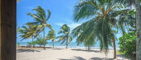 On the beach, sun loungers, beach towels
