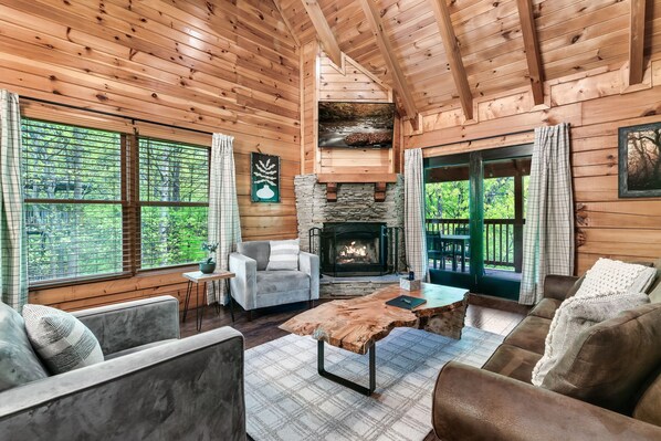 Smart-TV, Kamin, Videospiele, Bücher