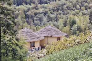 Exterior - Moganshan Chennian·Zuimei Courtyard Homestay (Deqing)