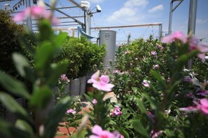 Children's area - Kulangsu Xinyuan Homestay (Xiamen)