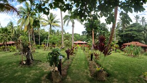 Ein tropischer Garten mit Palmen, einem Weg und Gebäuden mit roten Dächern.