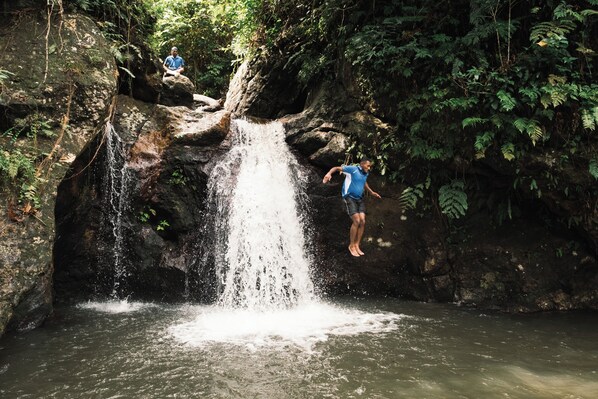 Una cascada en un área boscosa con una persona saltando desde una roca.