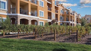 A multi-story hotel with balconies, stone accents, and a vineyard in the foreground.