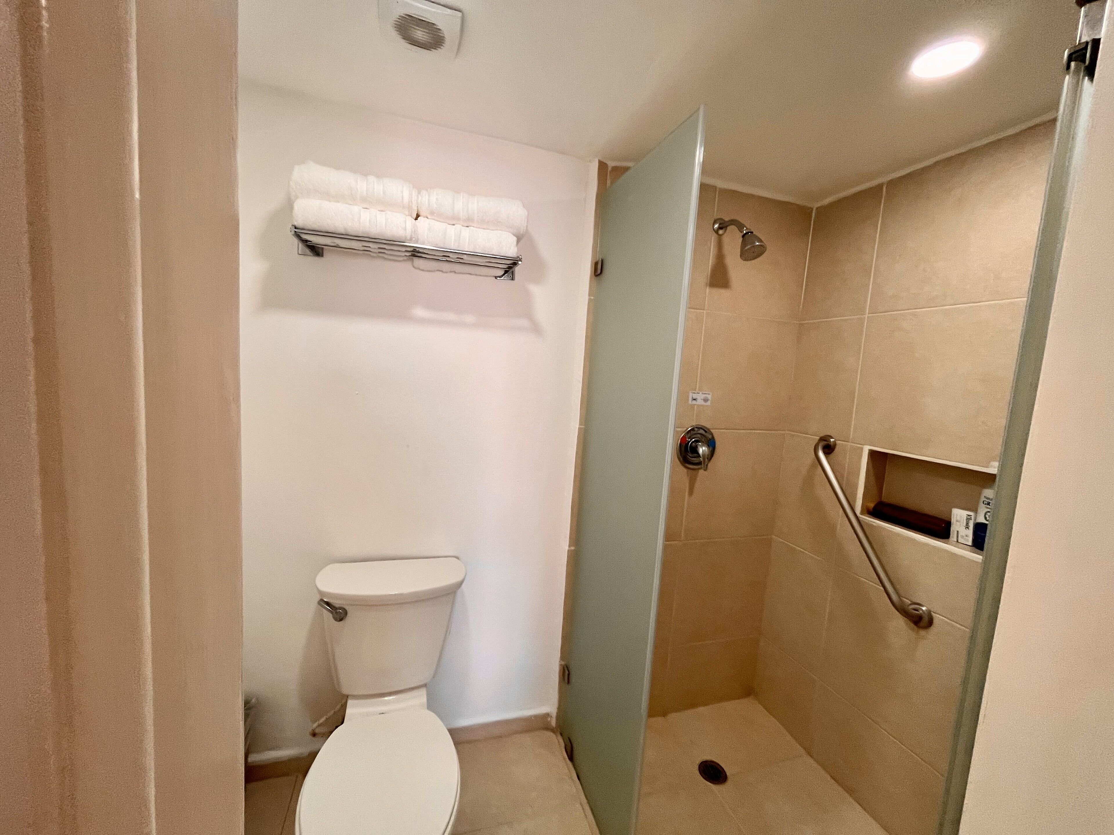 Un baño con inodoro, ducha y un perchero para toallas.