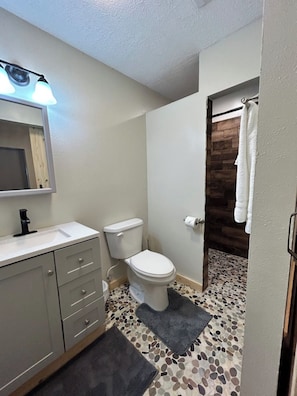 Shower, hair dryer, towels, toilet paper