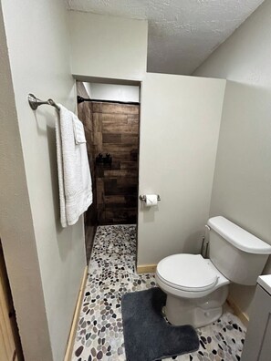 Douche, sèche-cheveux, serviettes fournies, papier toilette