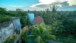 Miscellaneous - Adi Bisma Inn by Mahaputra (Bali)