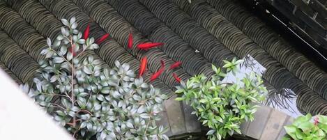 A traditional tiled roof with a water feature below.