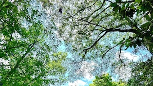 A small, dark-colored house with a sloped roof, a front door, and a window. There is a paved path leading to the house, surrounded by grass and a small garden with a circular stone border. - Inner City Hideout: Serenity with Big Nature Views (Atlanta)