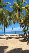 Uma praia com palmeiras e um céu azul límpido.