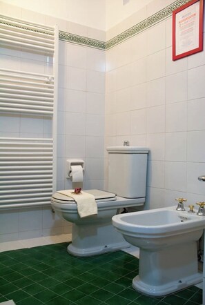 Regadera, secadora de cabello, bidet, toallas 