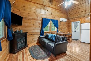 Televisión, chimenea, reproductor de DVD, libros