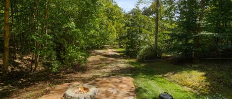 A forested campsite with a fire pit and grill area.