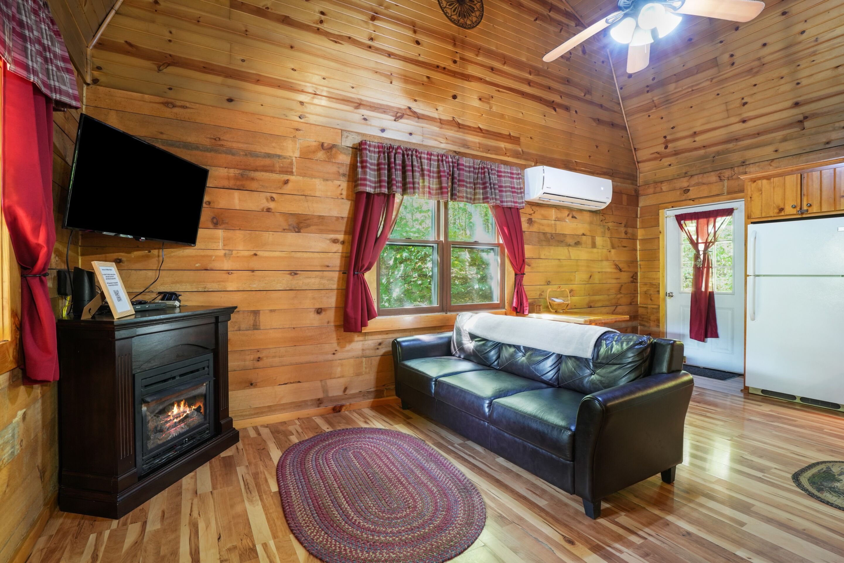 Fireplace, DVD player, books, video library