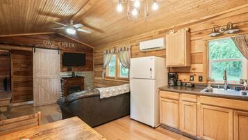 Fireplace, DVD player, books, video library