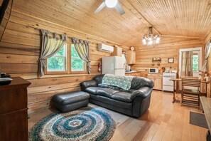 Een open haard, een dvd-speler, boeken en een filmbibliotheek