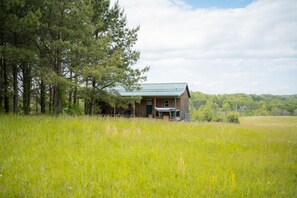 Eine rustikale Holzhütte mit einem grünen Dach, umgeben von hohen Kiefern und einer Wiese.