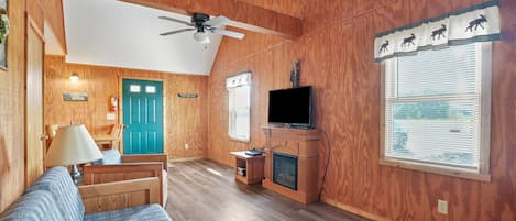 Kamin, DVD-Player, Bücher, Videothek