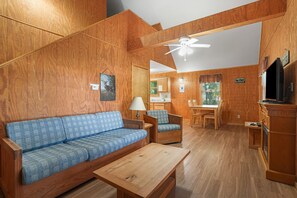 Télévision, cheminée, lecteur de DVD, livres