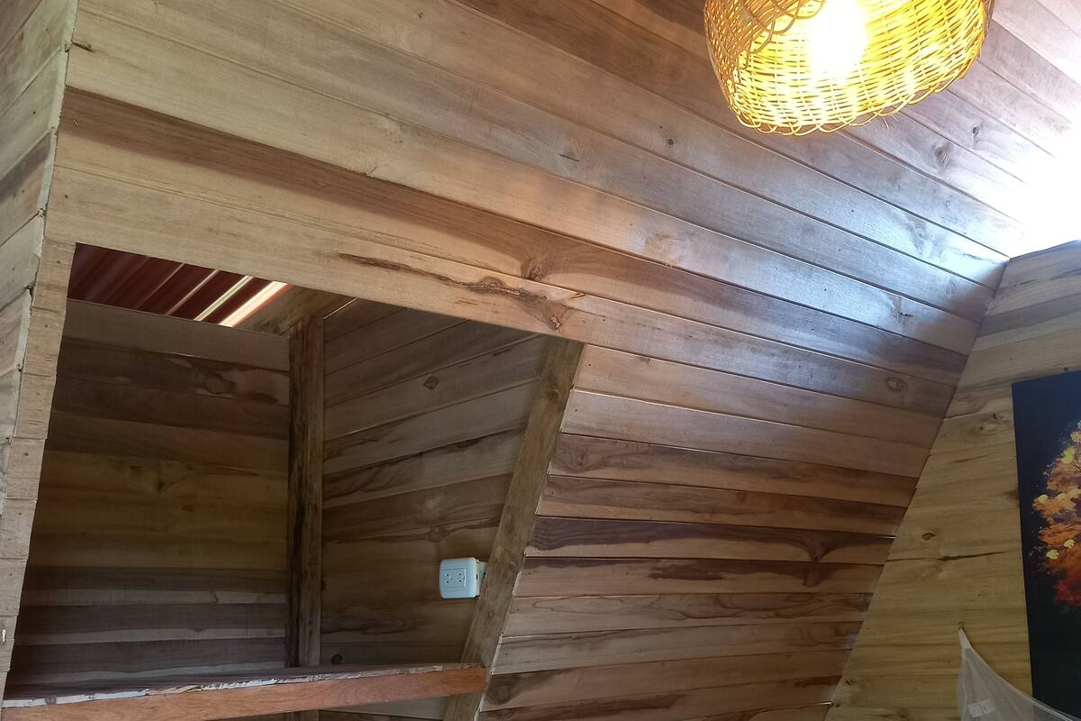 Un interior de madera con techo inclinado, una lámpara colgante y una planta en maceta.