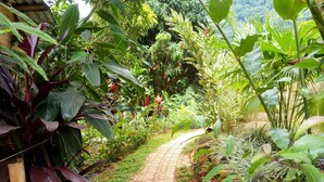 Un sendero de piedra serpentea por un jardín exuberante con diversas plantas tropicales.