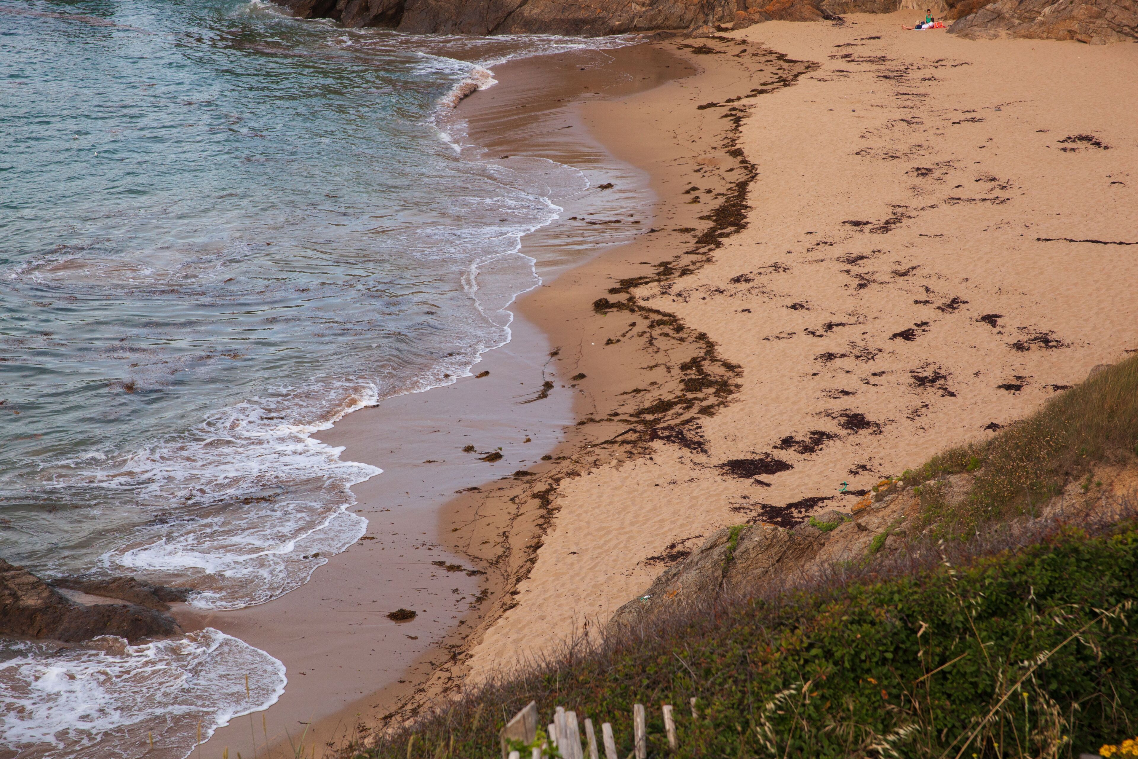 Una playa con olas, arena y vegetación.