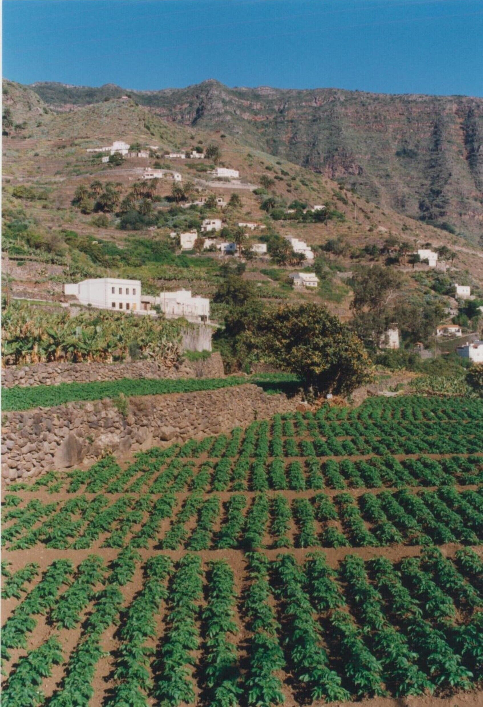 Paisaje rural con campos en terrazas y edificios blancos dispersos.