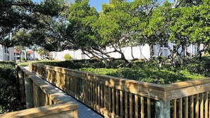Un paseo marítimo de madera con piso de rejilla metálica, rodeado de abundante vegetación y árboles.