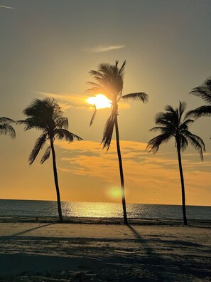 Plage, chaises longues, serviettes de plage
