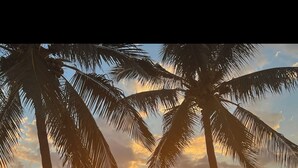 A sunset view with palm trees and benches along a pathway. - FOUND! Million Dollar View! Stunning Fort Meyers Beach Condo! Book Early & Save! (Fort Myers Beach)