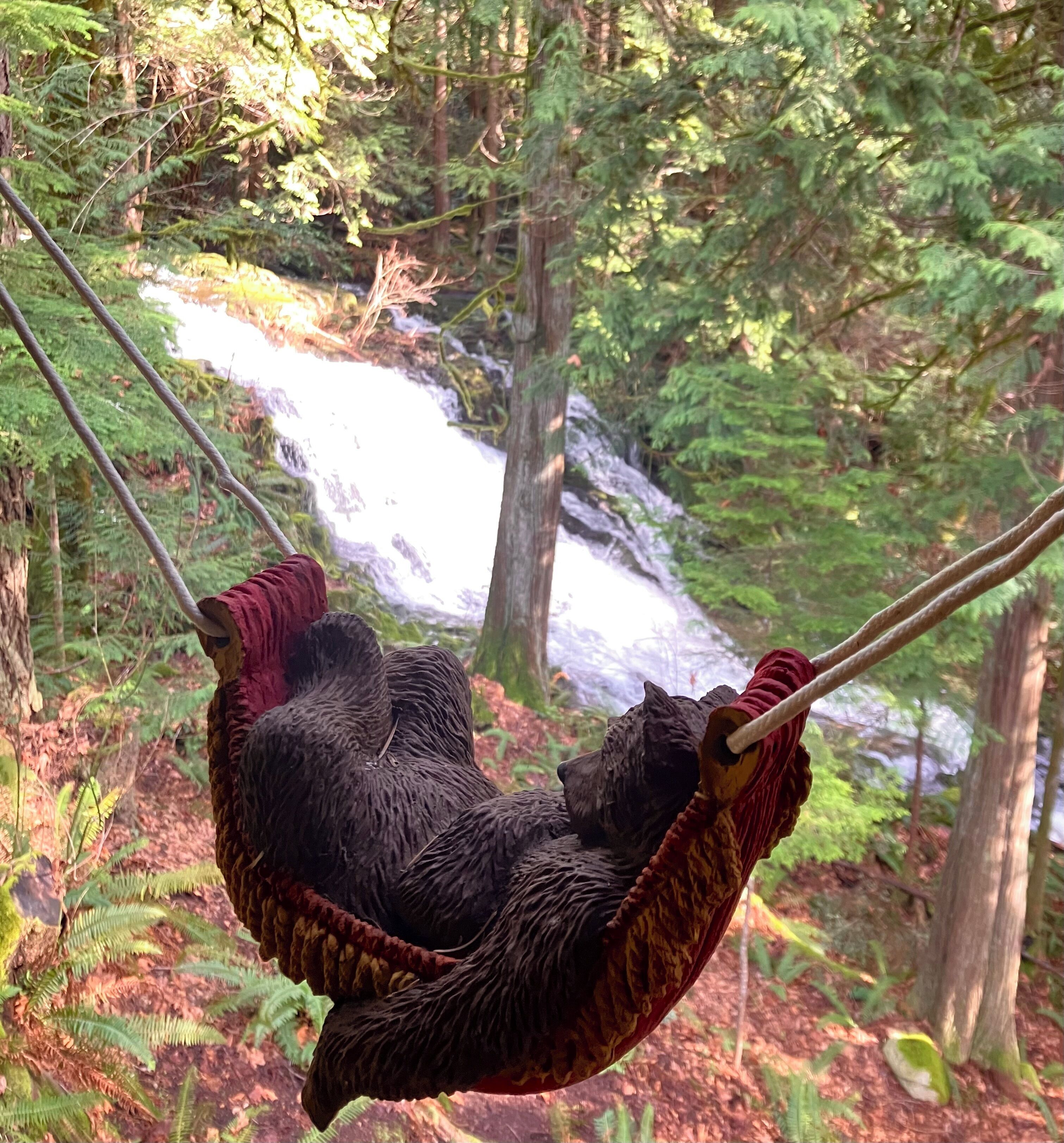 Back yard waterfall (Sunshine Acre Falls)