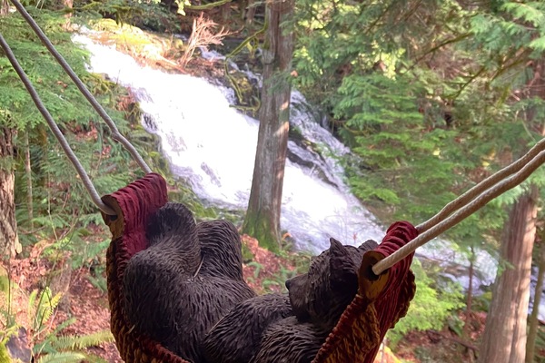 Back yard waterfall (Sunshine Acre Falls)