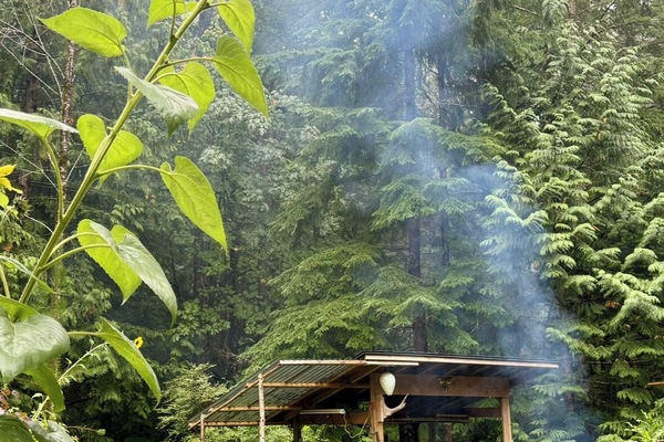 Outdoor kitchen/picnic area with waterfall view