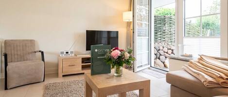 Fernseher, Stereoanlage