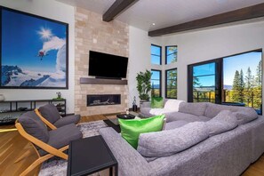 TV, fireplace, video games, books