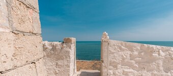 GuestHost - Watchtower - Trani