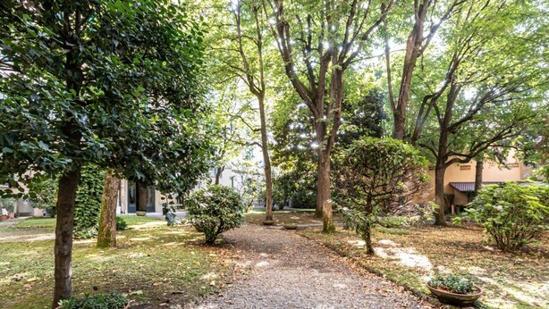 A gravel path leading through a garden with trees and potted plants.